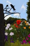 Unique Hanging Baskets